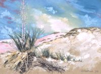 Robert Martner - White Sands, New Mexico